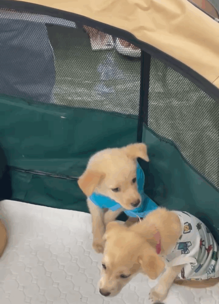 【実際の写真5枚】　１年後の様子