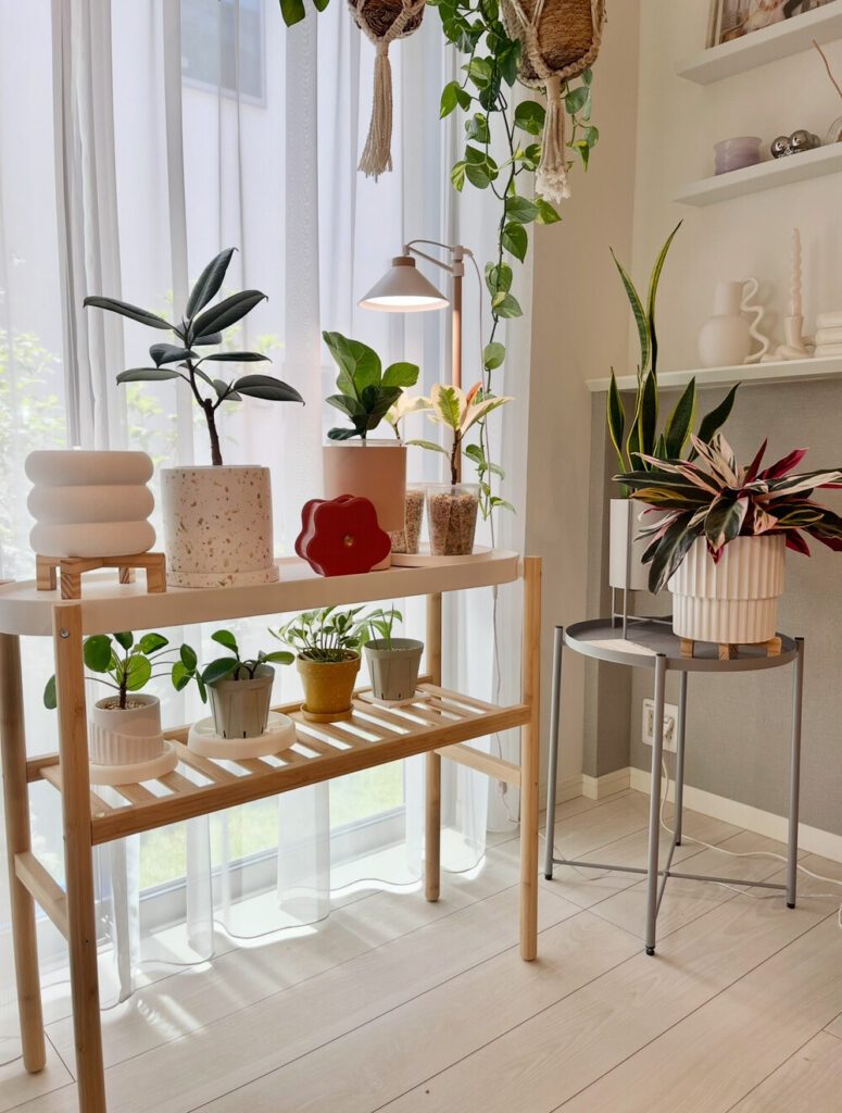 【実際の写真5枚】　変化後の様子