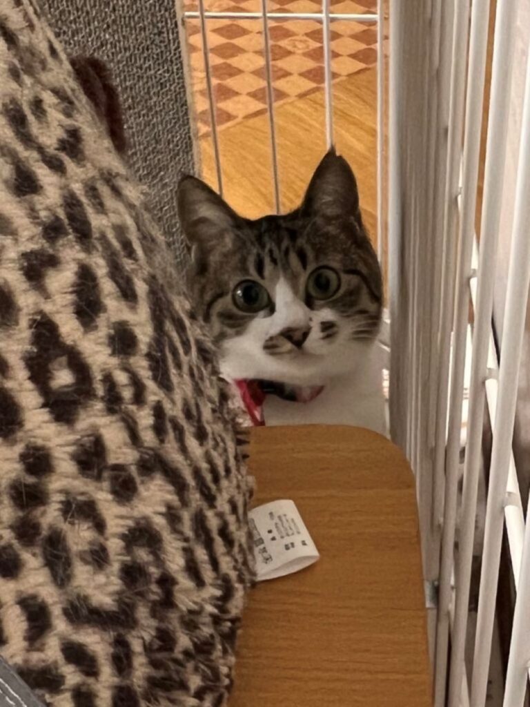 【実際の写真】現在の様子