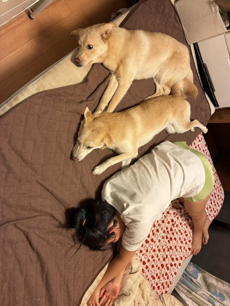 最近の様子（@kukai_hogokenさんより提供）