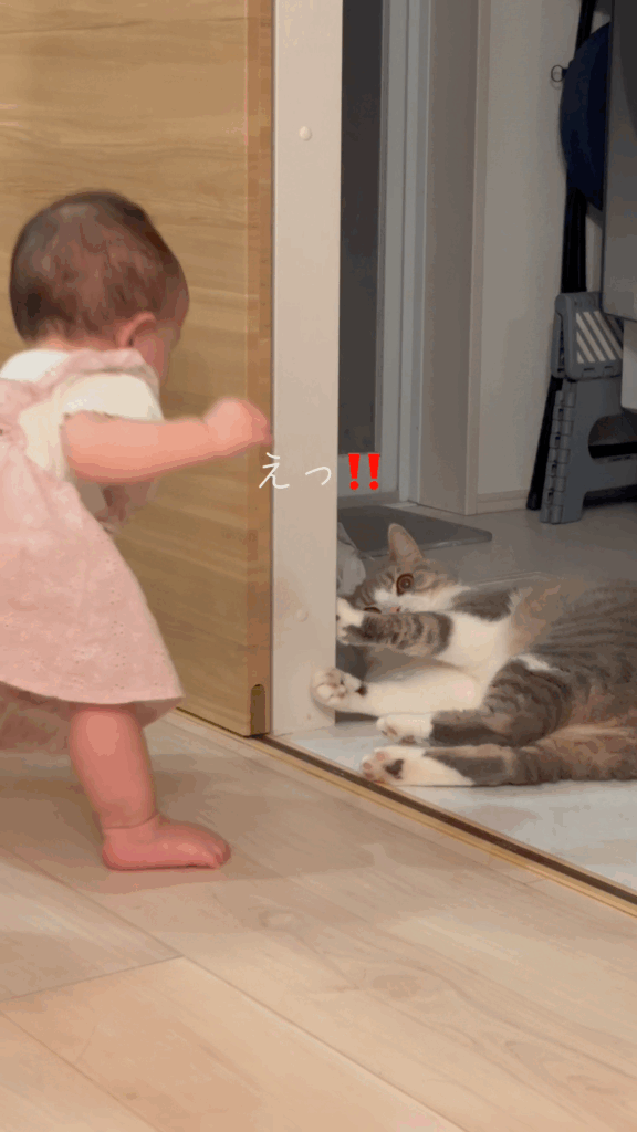 立ち上がる娘さんに驚くもちくん（@mochikun0129さん提供）