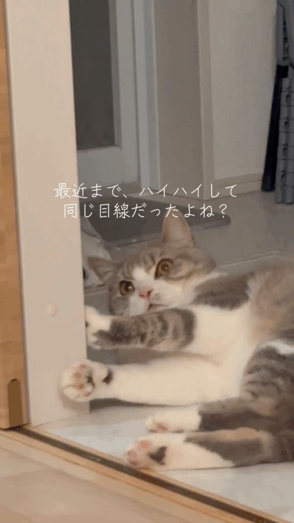 戸惑うもちくん（@mochikun0129さん提供）