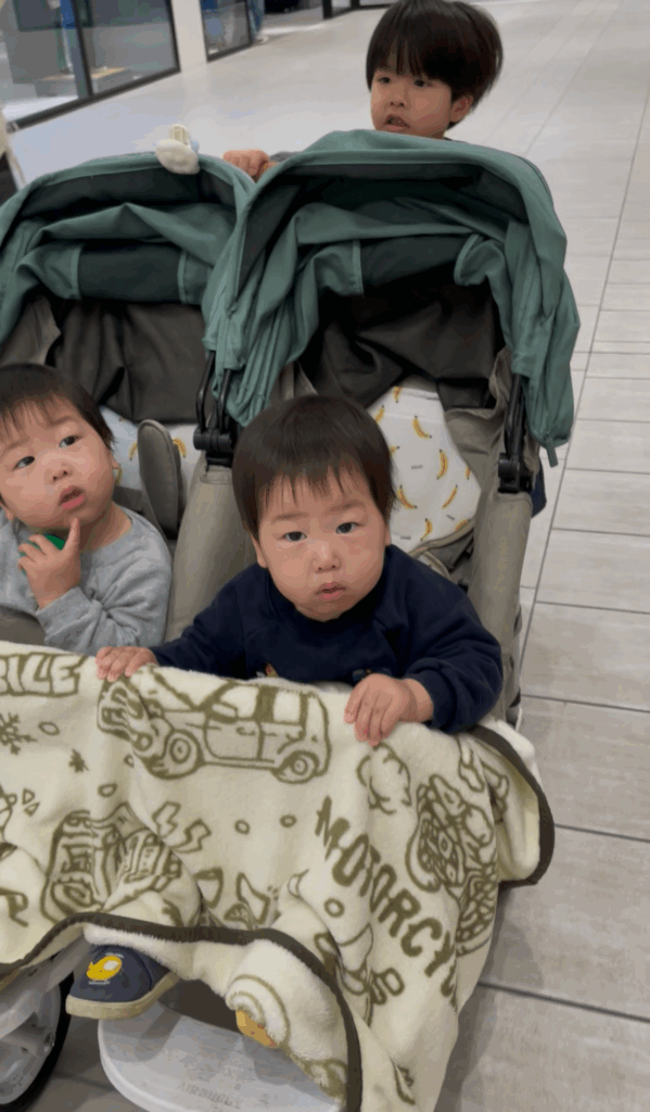 【実際の写真5枚】　予想外の光景