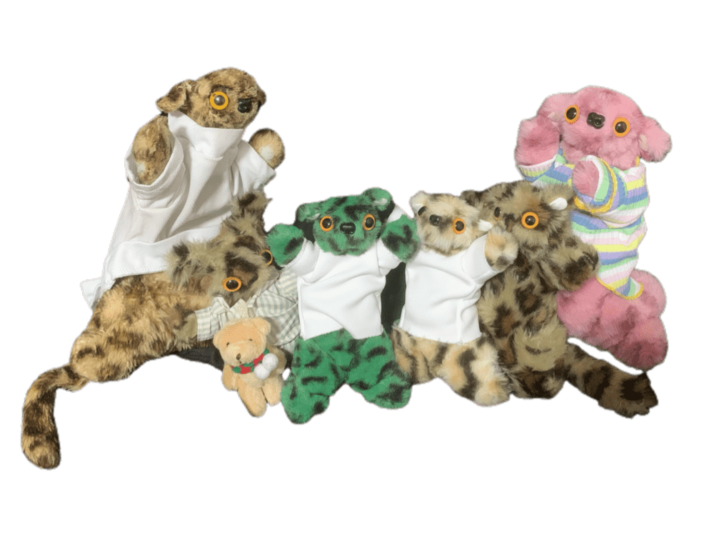 大好きなぬいぐるみを作りたい（あろちーずさんより提供）