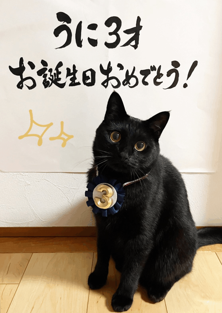 うにくん3才の誕生日（@uni_kuronekoさんより提供）