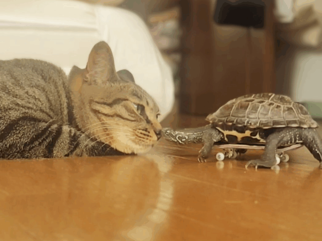 仲良しな様子（＠Mh0MLiErcV8E97Cさんより提供）