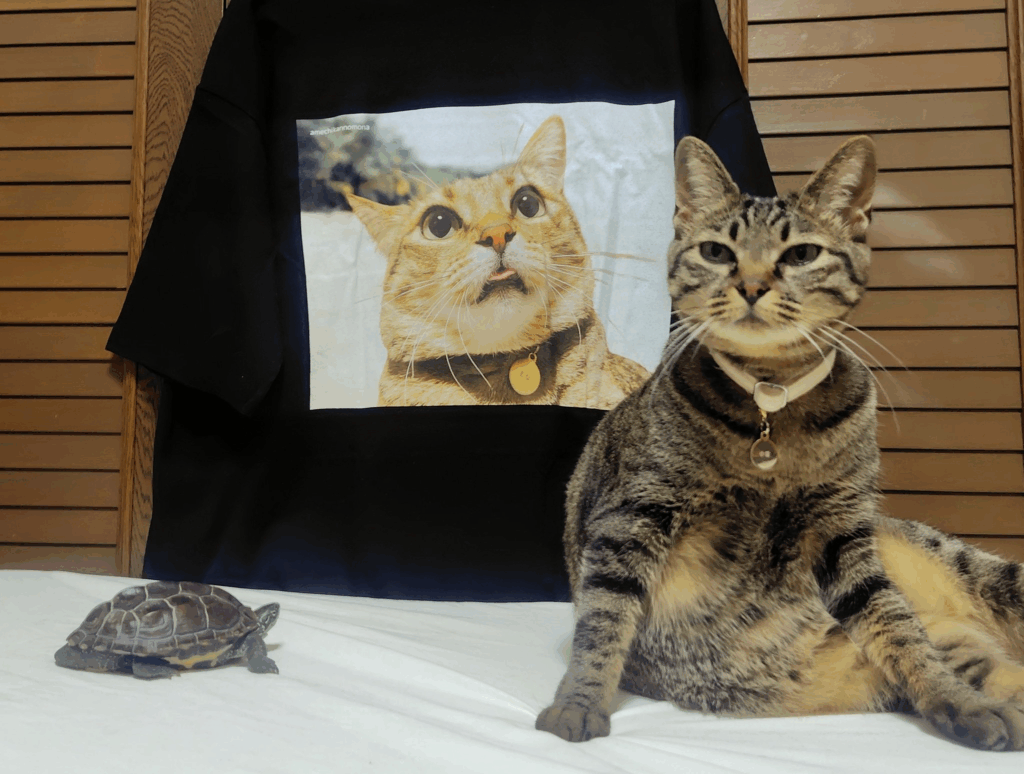 軍曹くんと小雪ちゃん（＠Mh0MLiErcV8E97Cさんより提供）