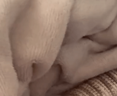 パンの匂いで目覚めた朝。、腕枕していたのはまさかの……　信じられないトカゲの行動に「完全に人間の子ども」「寝顔がとっても愛らしい」