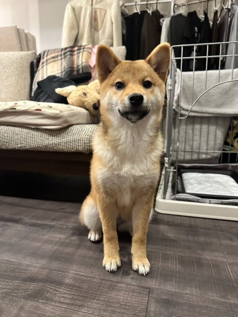 普段の様子③（＠taoyame36さんより提供）