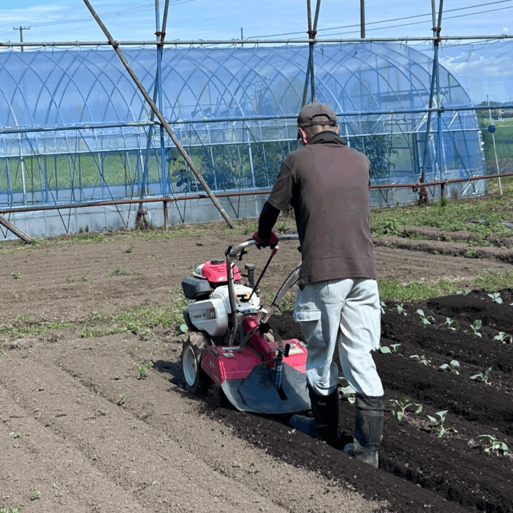 【実際の写真】現在の様子