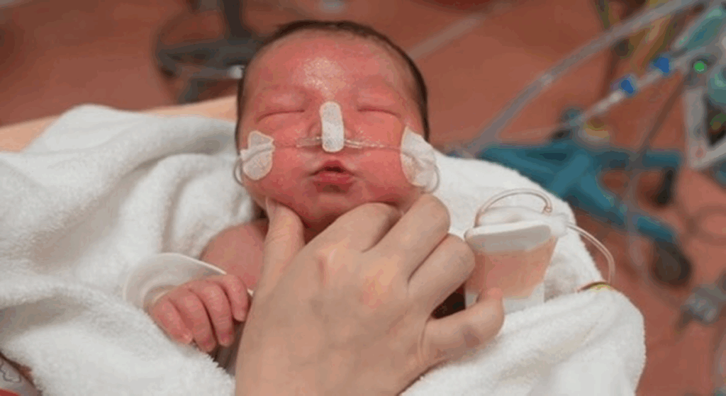 【実際の写真】現在の様子