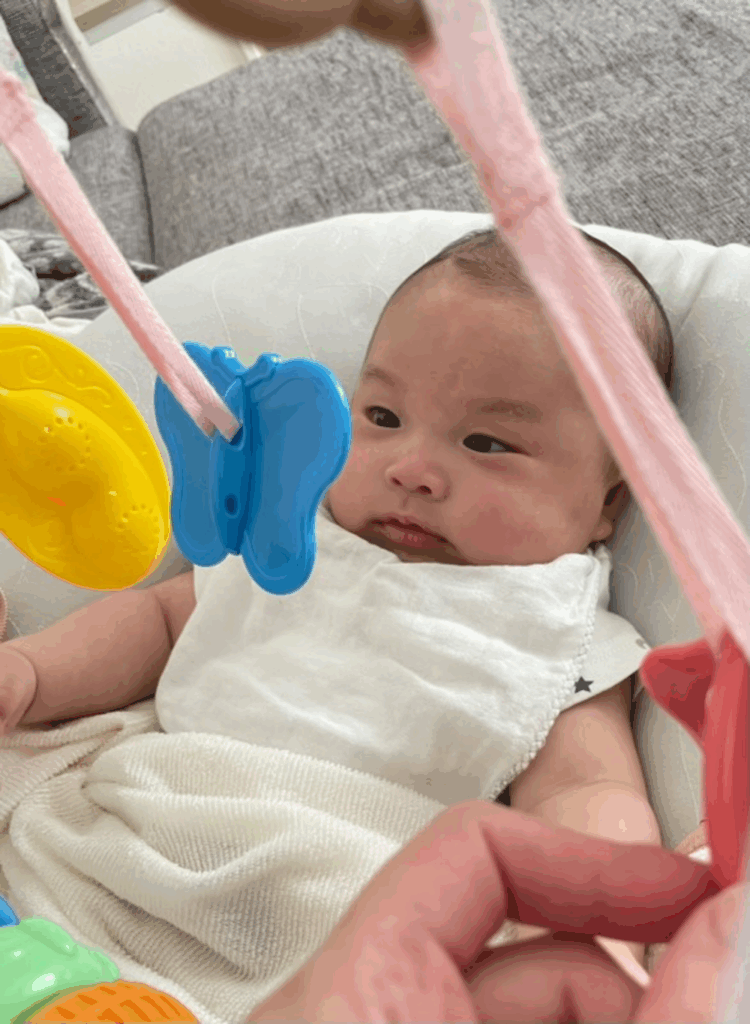 蝶のおもちゃがお気に入り（@95.12.9さんより提供）