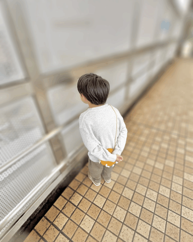 【実際の写真】　母が見た光景