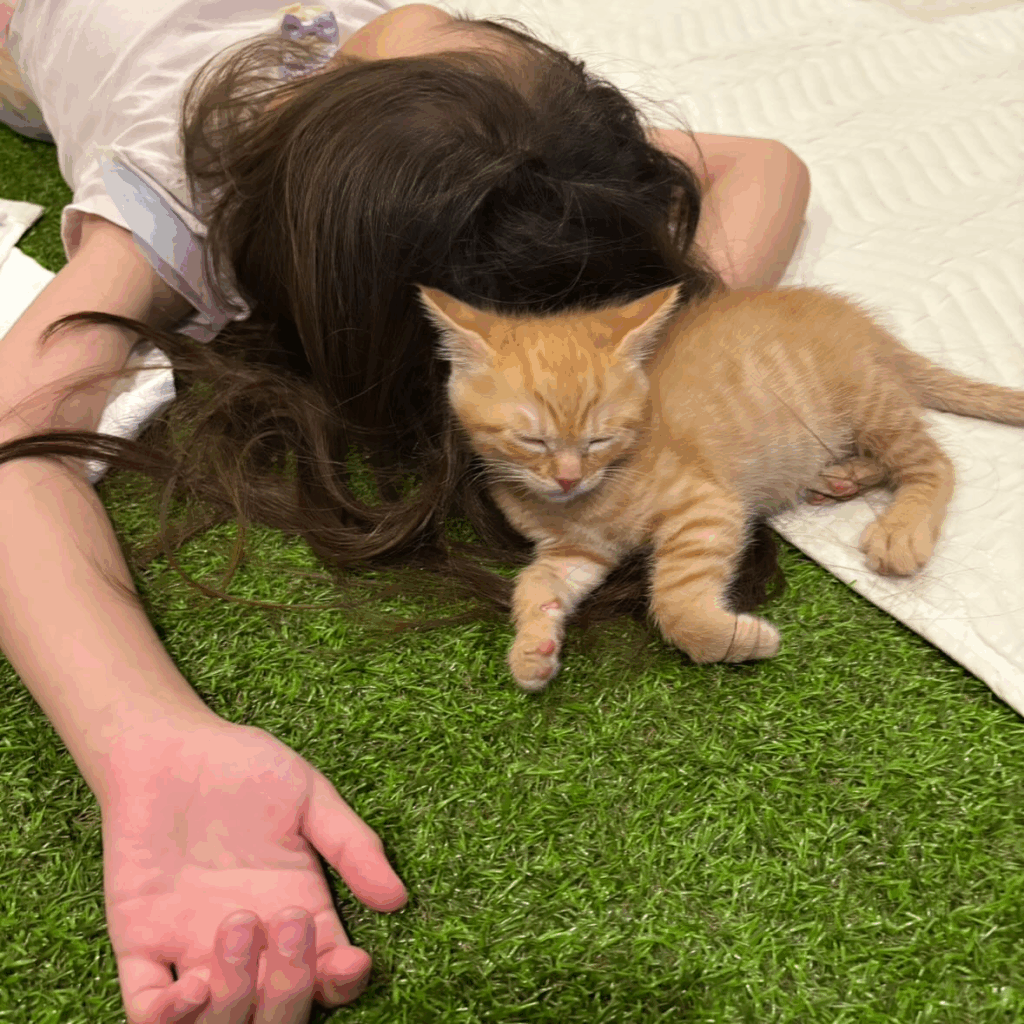 娘さんと一緒に寝落ち…（＠hungry.zさんより提供）