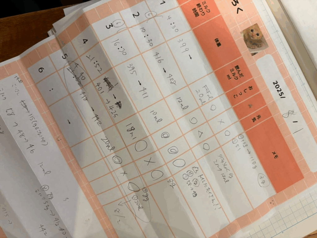 【実際の写真】まさかの光景