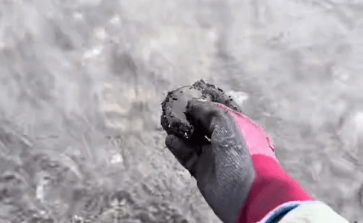 海で拾った石…しかし、その”意外な正体”が判明した結果「めちゃロマン感じます」「ほんと宝物だ」「こんなの拾ったら嬉しい」