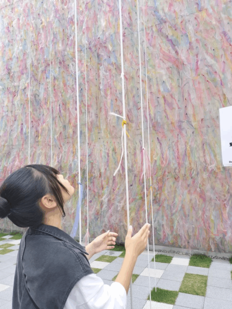 【実際の写真6枚】　母が見た光景