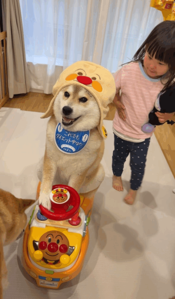 普段の様子（＠popo.ribu.ramu48さんより提供）