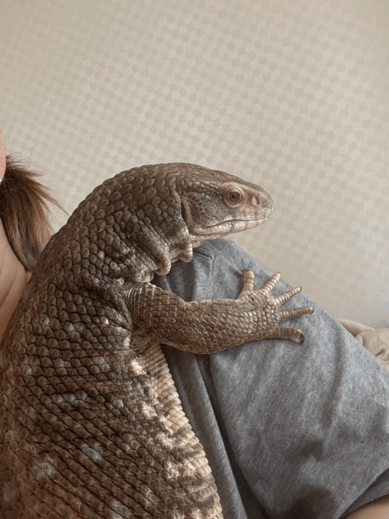 【実際の写真5枚】　投稿者さんが見た光景