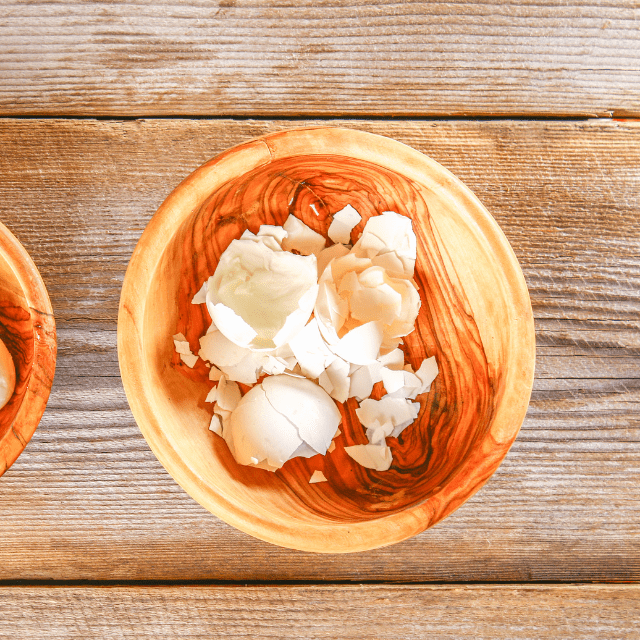 殻だけになった卵