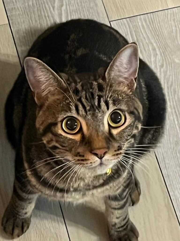 【実際の写真】予想外の姿