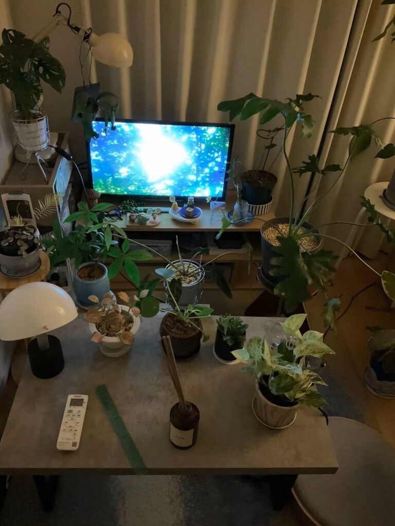 癒しの空間が完成（@hirouga_sugoiさんより提供）