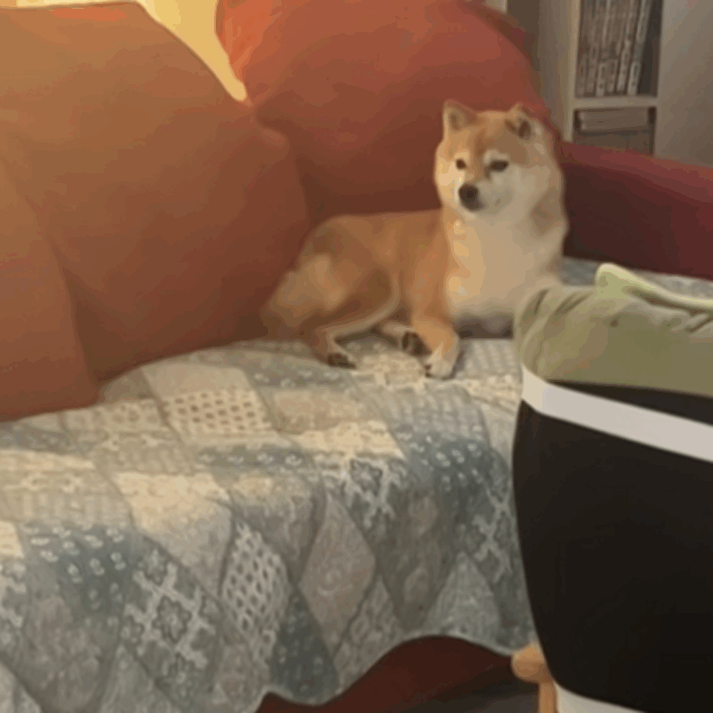 え、まさかの無視？（@superkomarichanさんより提供）