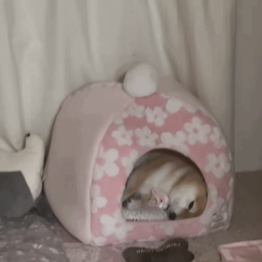 普段の出迎え風景（@superkomarichanさんより提供）