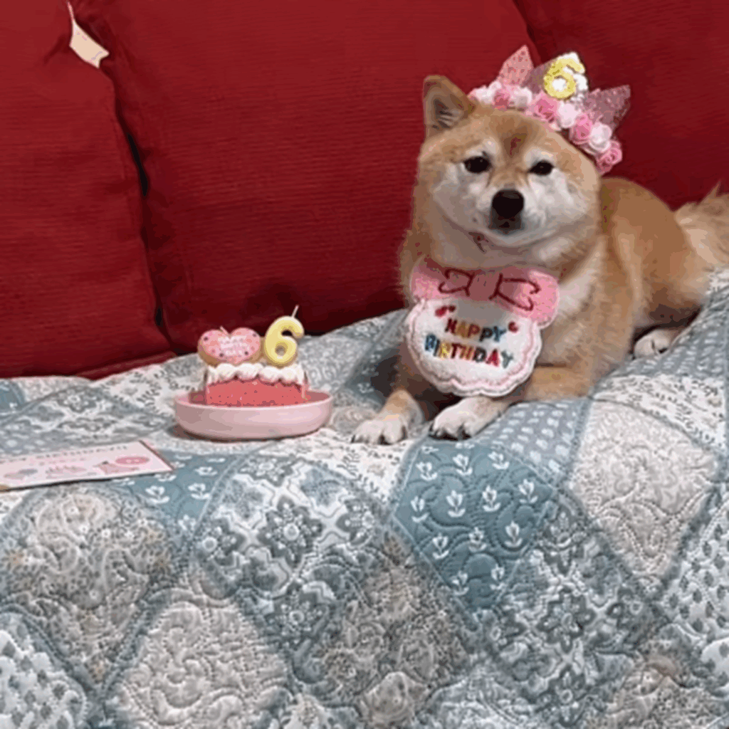6歳の誕生日おめでとう！（@superkomarichanさんより提供）