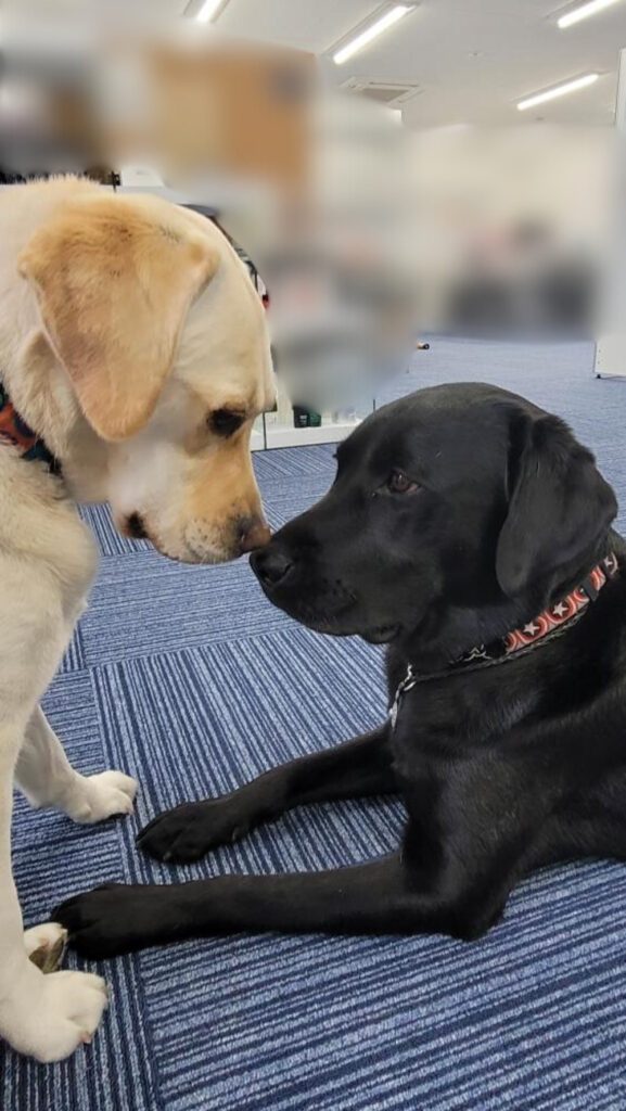 【実際の写真】保育園の先生が撮った写真