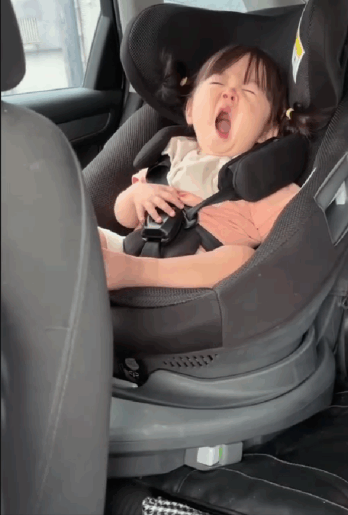 大きなあくび（@sarapapaaaaさんより提供）