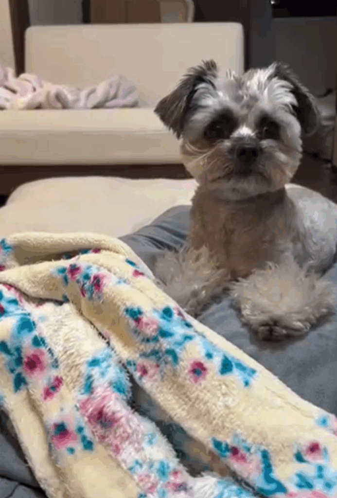 ピーターくん（＠peter.tiwapoさんより提供）