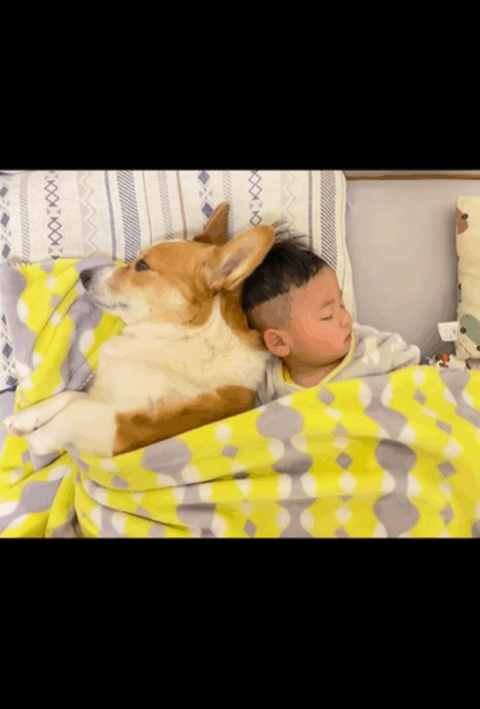 背中合わせで寝る息子さんとサクくん（＠mugi.saku__corgiさんより提供）