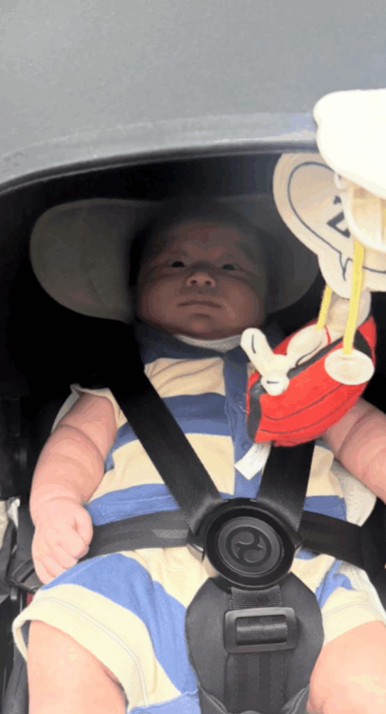 「寝てるかな？」と思ったら…（@hyunayakaさんより提供）