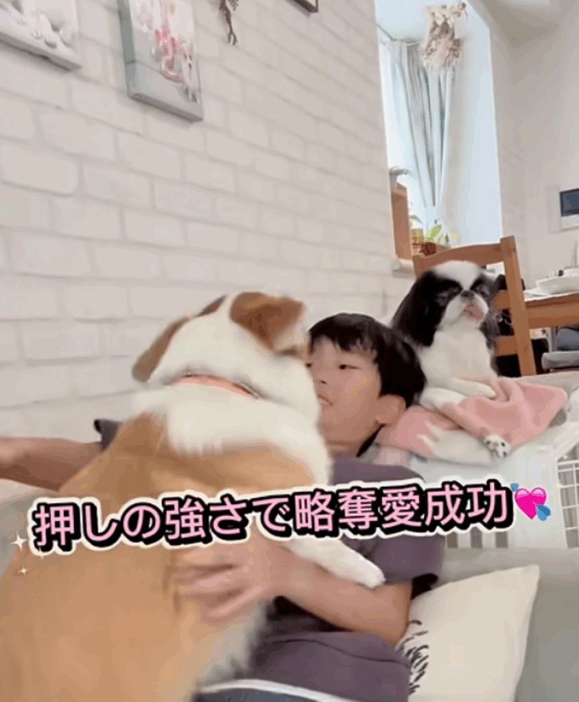 略奪成功したナッツちゃん（@cocofamilyさんより提供）