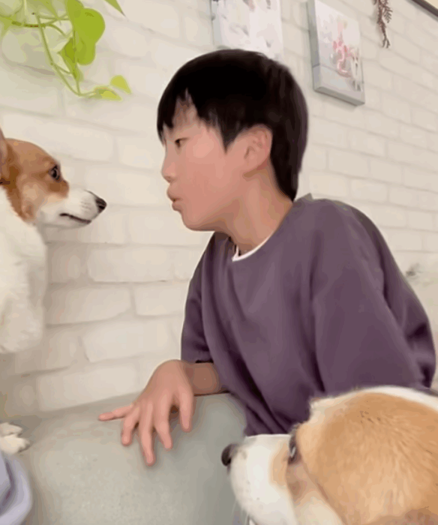 【実際の写真5枚】　ママが見た光景