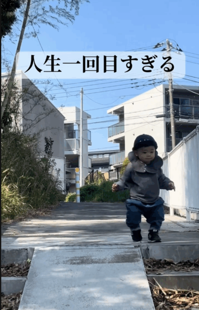 ある日のお散歩中（@tototochan26さんより提供）