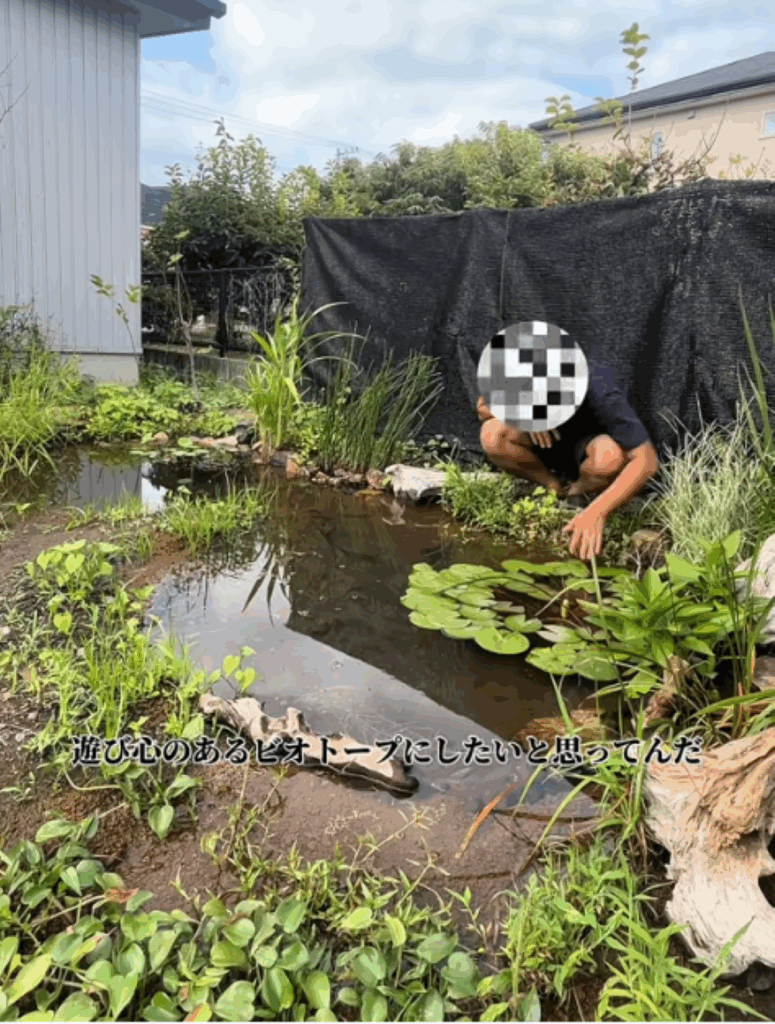 完成したビオトープ②（＠always_summer_vacationさんより提供）