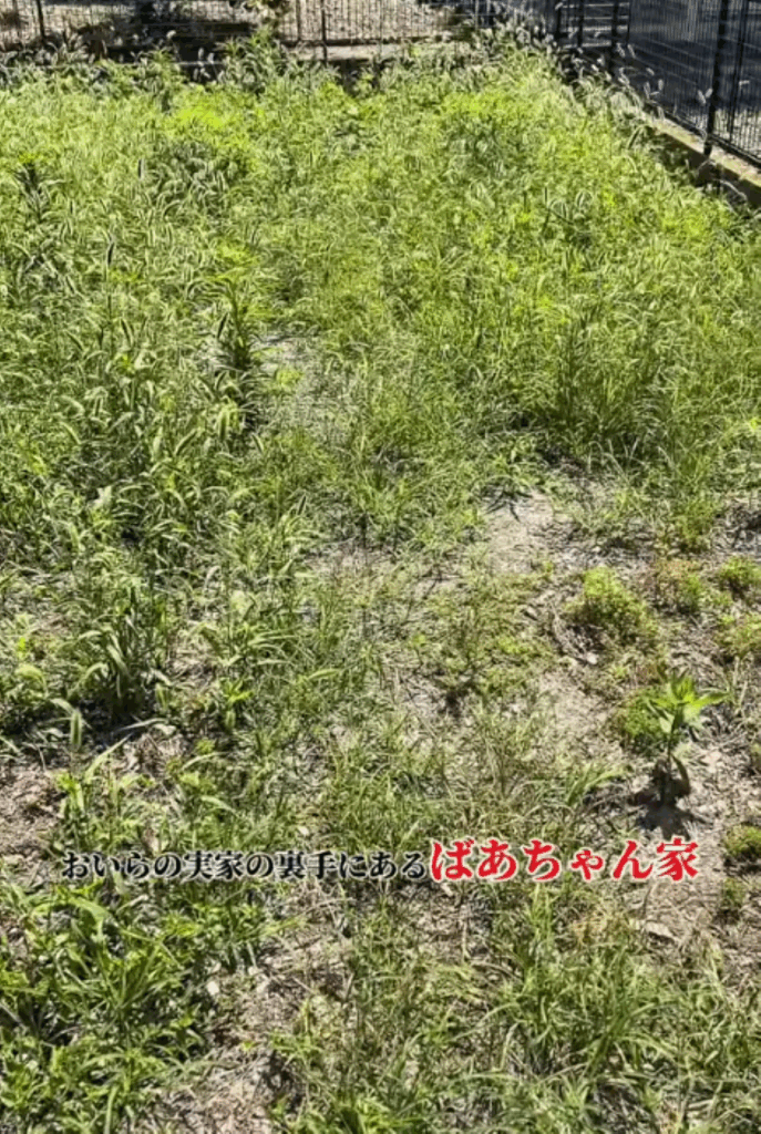 DIY前の庭の様子（＠always_summer_vacationさんより提供）