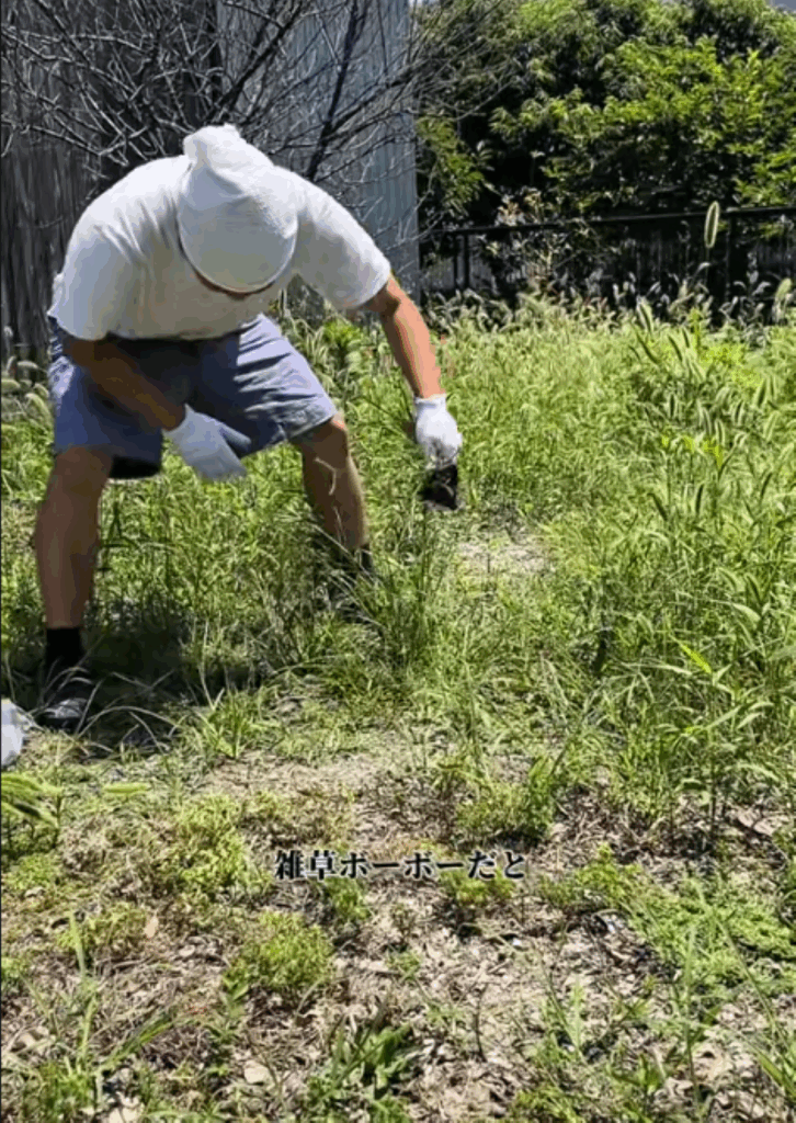 【実際の写真5枚】　１ヶ月後の様子