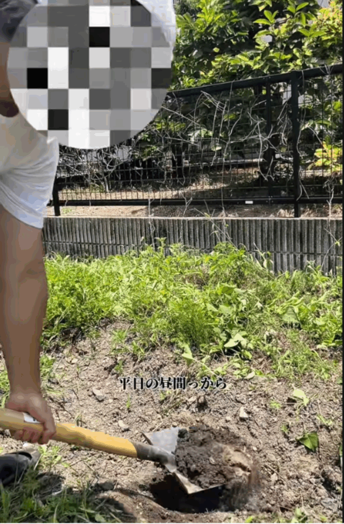 ビオトープ作り②（＠always_summer_vacationさんより提供）