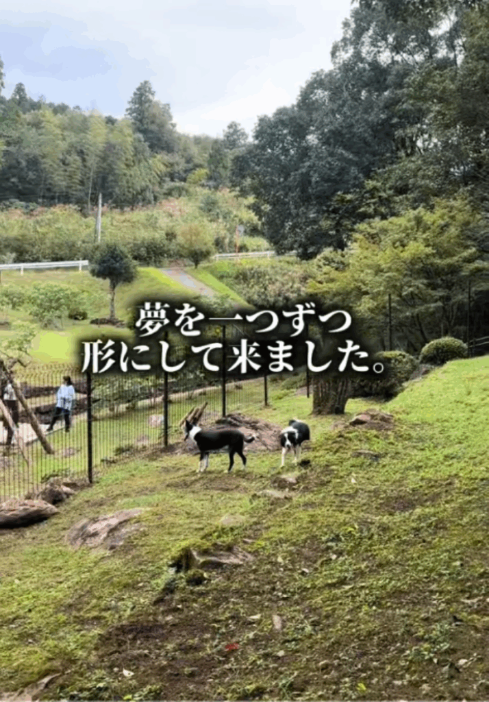 ドッグランとキャンプ場（＠mikoko1228さんより提供）