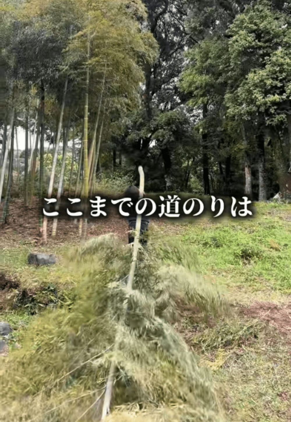 祖父から9600坪の土地を受け継いだ孫　土地を使って作ったものに「おめでとうございます」「じいちゃん喜んでるよ」「大感動」