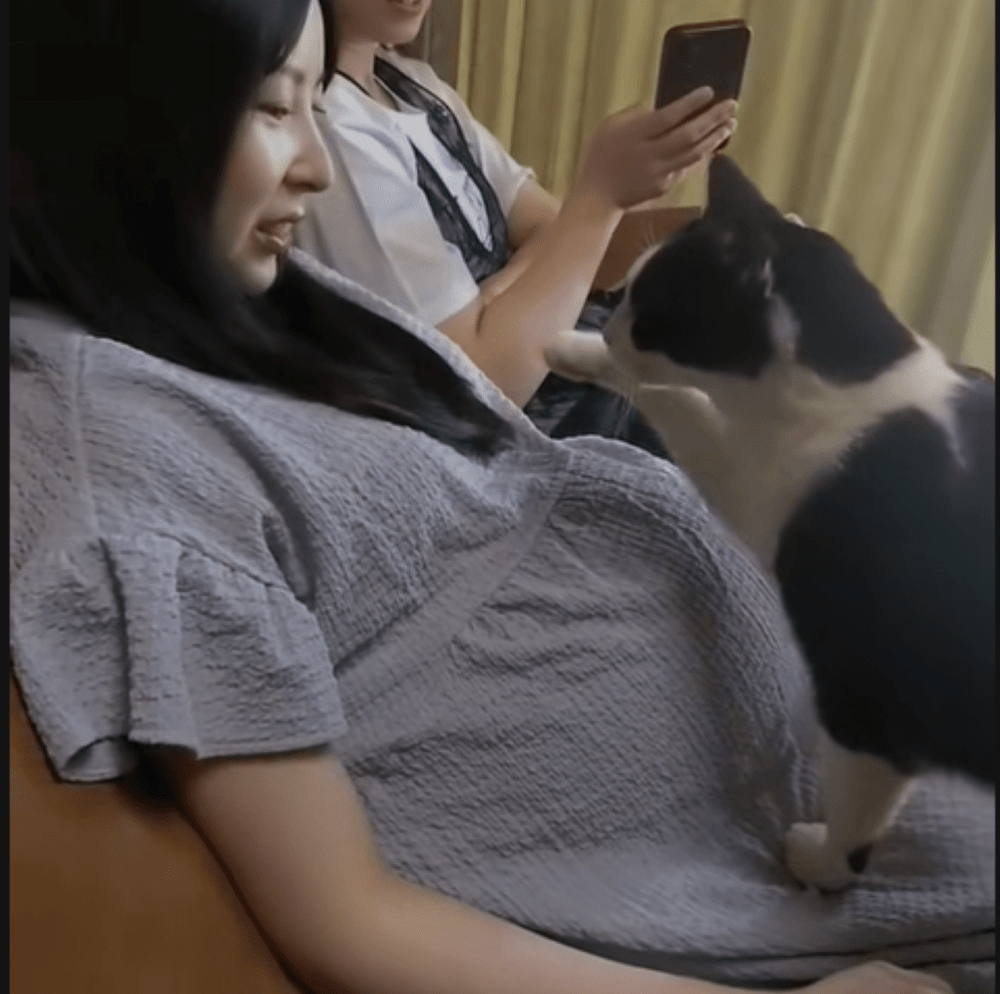 妊娠して里帰りすると、突然近づいてきた実家の猫。すると直後“まさかの行動”に「可愛すぎる！」「いい子ちゃん」