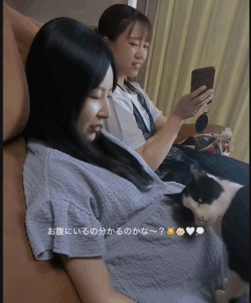 【実際の写真】猫の行動