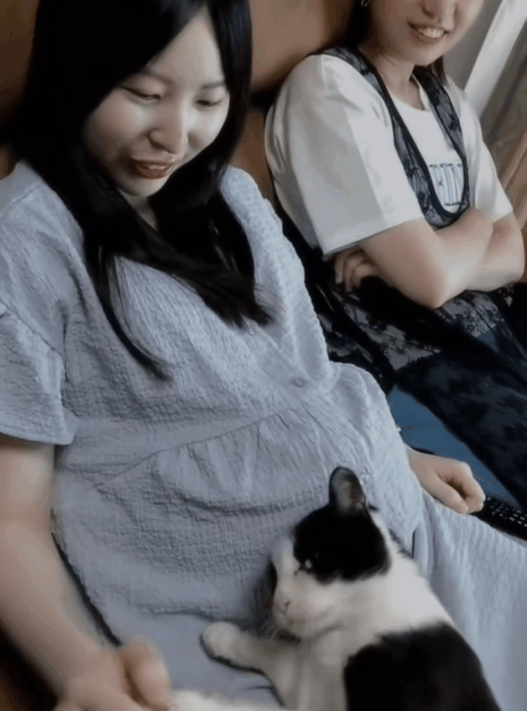 膝に乗るれおんくん②（＠hinamelo313さんより提供）