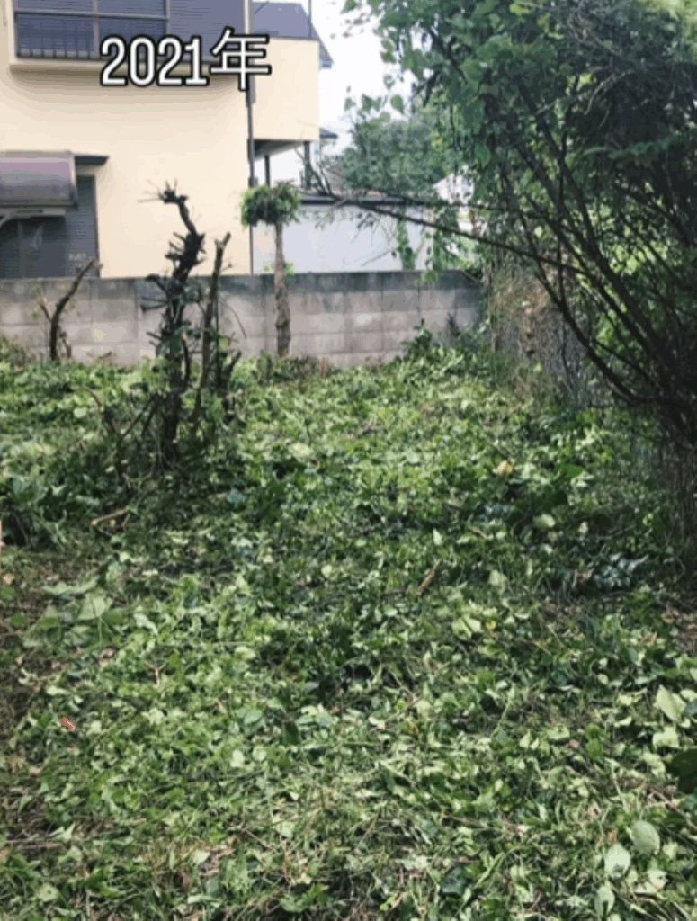 【実際の写真7枚】　対処後の様子