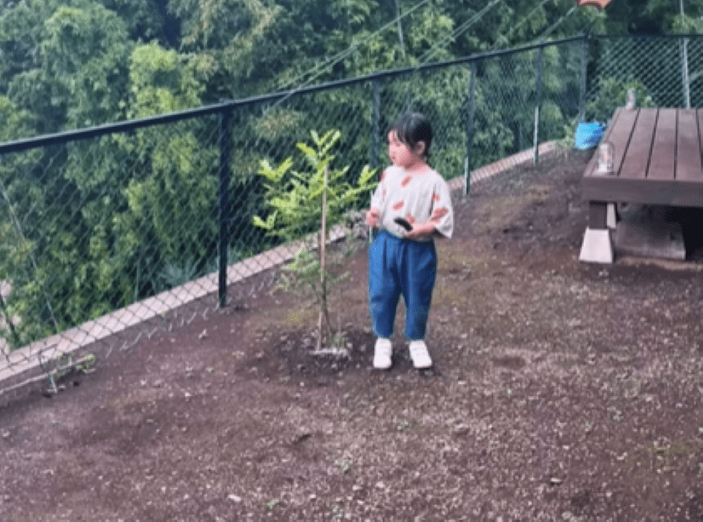 リノベーション中の庭①（＠mare.202411さんより提供）