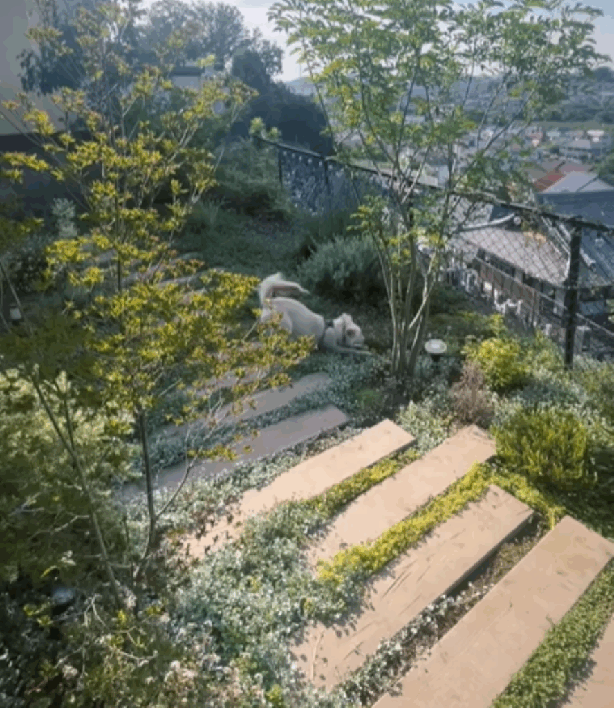 完成した庭①（＠mare.202411さんより提供）