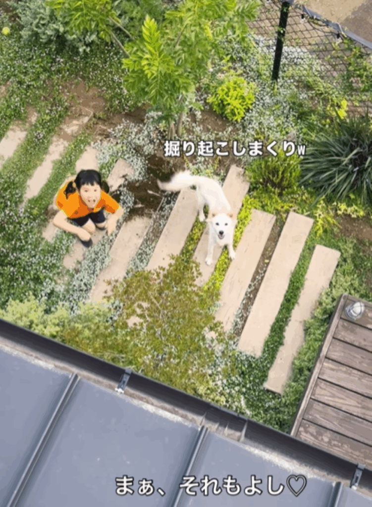 完成した庭②（＠mare.202411さんより提供）